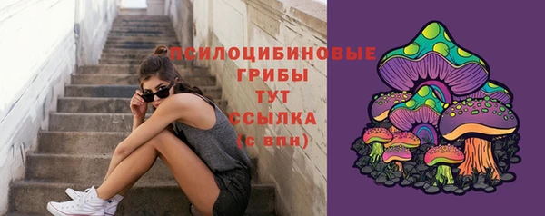 МДПВ Аркадак