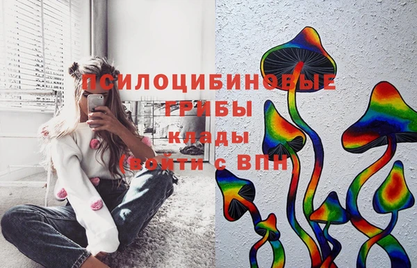 мяу мяу мука Арсеньев