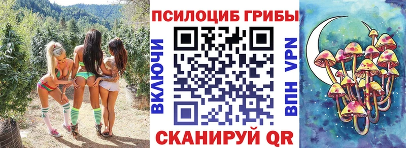 Галлюциногенные грибы Psilocybine cubensis  Старица 